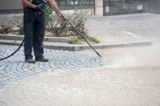 Best Pre-Holiday Cleaning  in Keokuk, IA